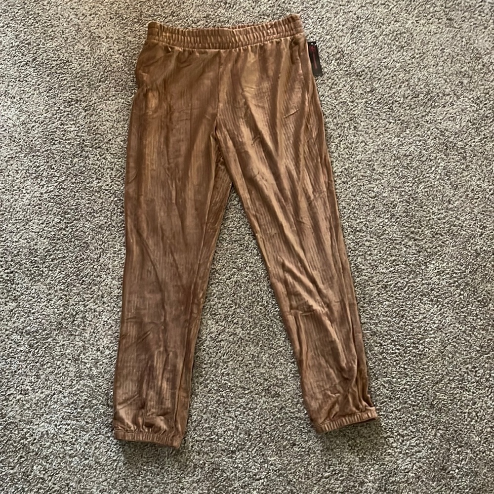 NEVER BEEN WORN BEFORE velvet brown pants